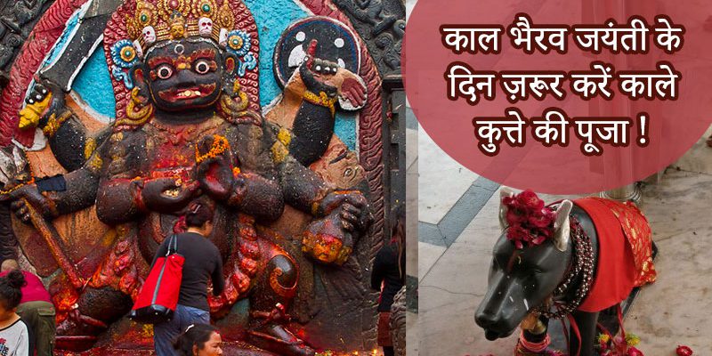 काल भैरव जयंती के दिन ज़रूर करें काले कुत्ते की पूजा !